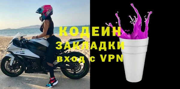 хмурый Алексин