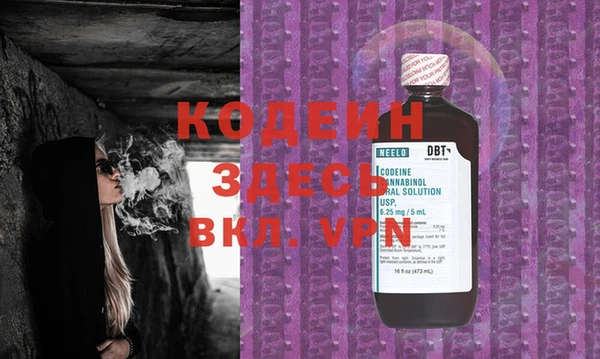 хмурый Алексин