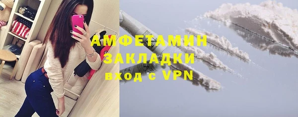 хмурый Алексин