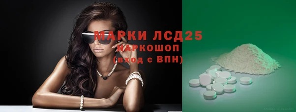 хмурый Алексин
