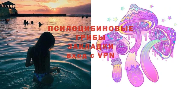 хмурый Алексин