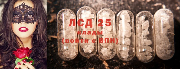 хмурый Алексин